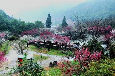 如何去無錫梅園：梅花，不僅是春天的使者，更是詩人筆下的常客。漫步於梅園之中，是否也能在這片花海中尋找一份屬於自己的詩意呢？